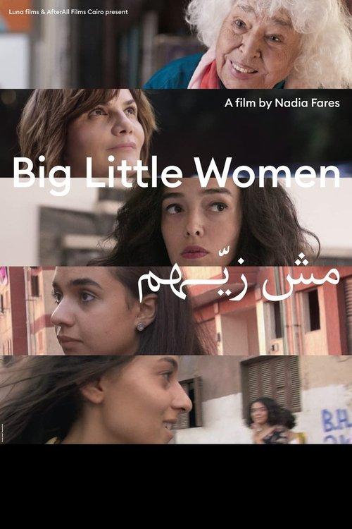 Big Little Women film afişi