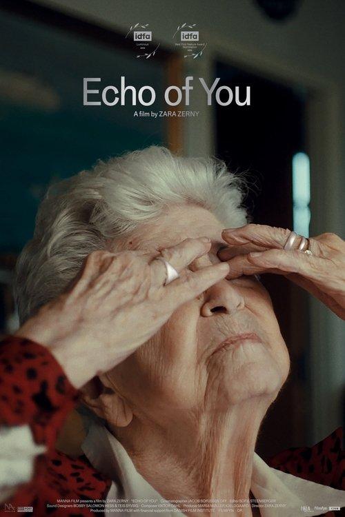 Echo of You film afişi
