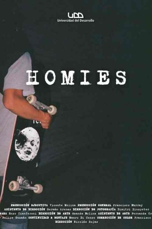 Homies film afişi