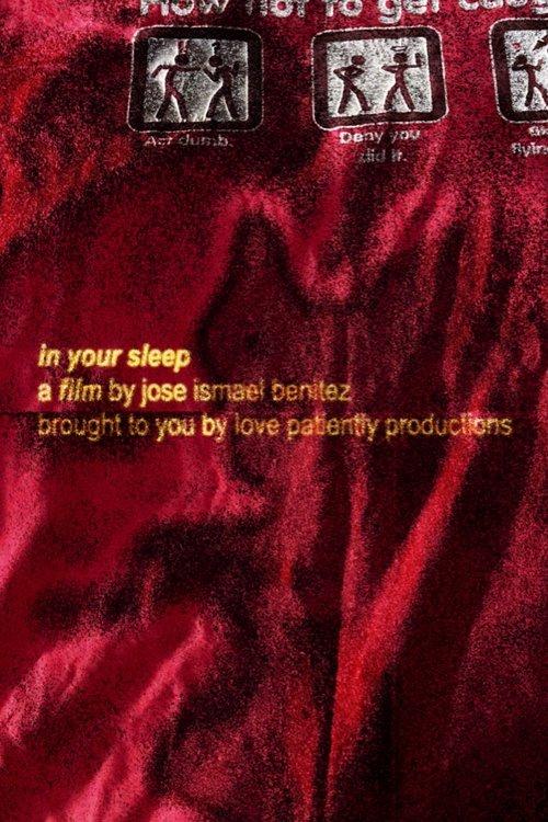 in your sleep film afişi