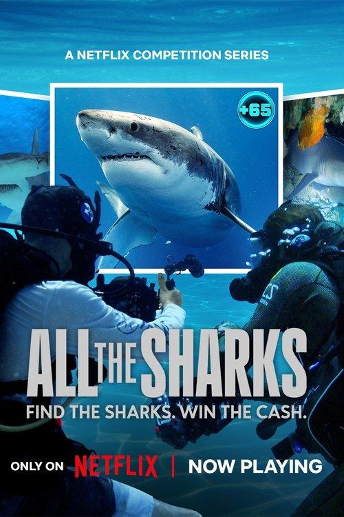 All the Sharks dizi afişi
