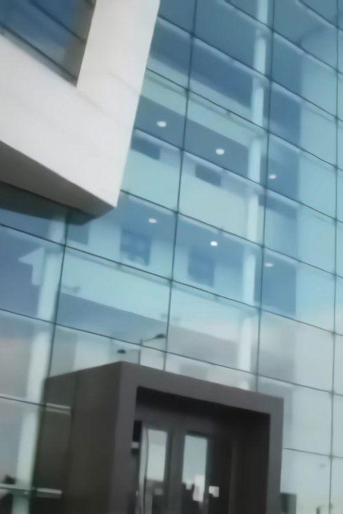 T. Rex In The Atrium film afişi