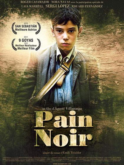 Le Pain noir dizi afişi
