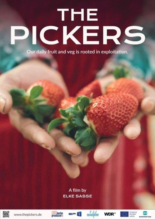 The Pickers film afişi
