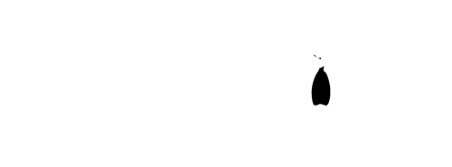 Penguins: Life on the Edge logo