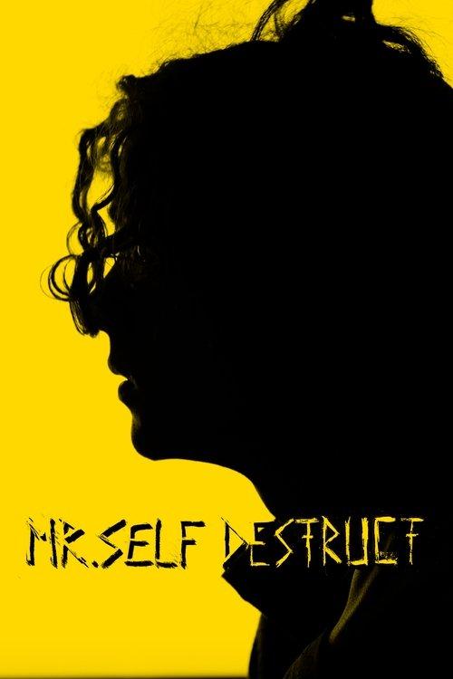 MR. SELF DESTRUCT film afişi