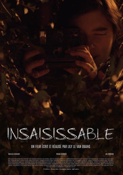 Insaisissable film afişi