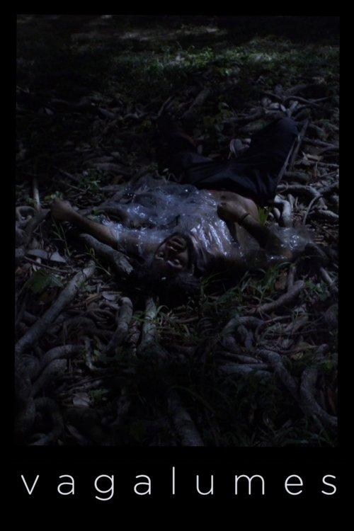 Fireflies film afişi