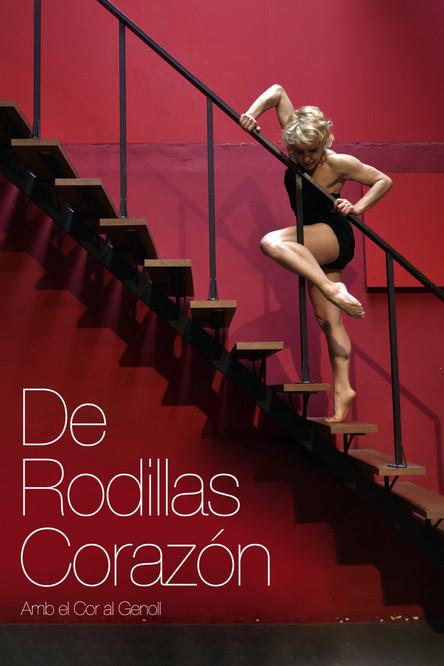 From knee to heart film afişi