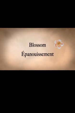 Blossom film afişi