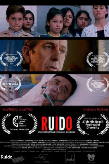 Ruido film afişi