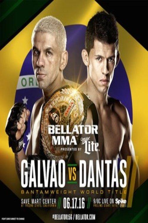 Bellator 156: Galvao vs. Dantas 2 film afişi