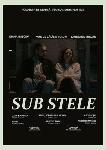 Sub Stele film afişi