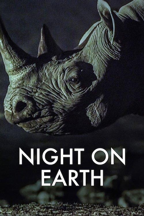 Night on Earth dizi afişi