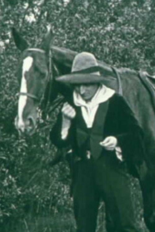 A Telegram from Mexico film afişi