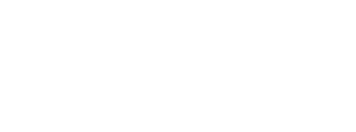 Science of Stupid logo