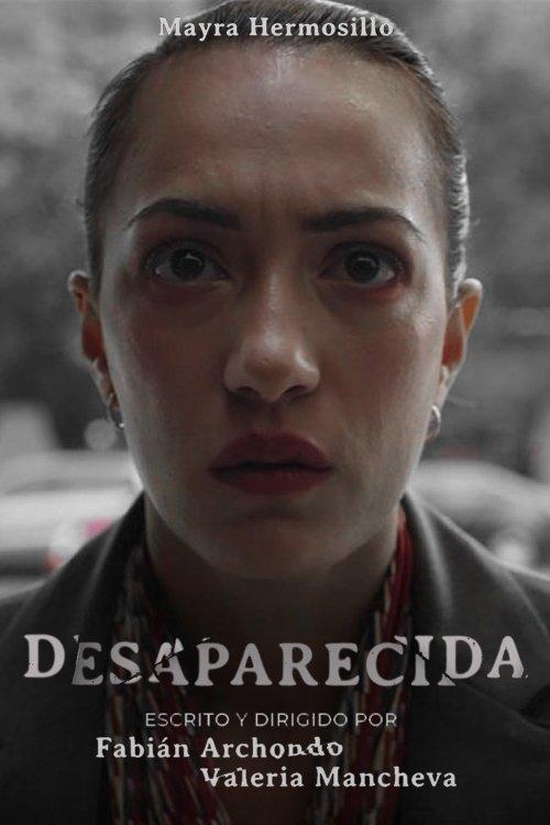 Desaparecida film afişi