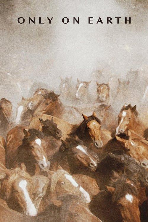 Only On Earth film afişi
