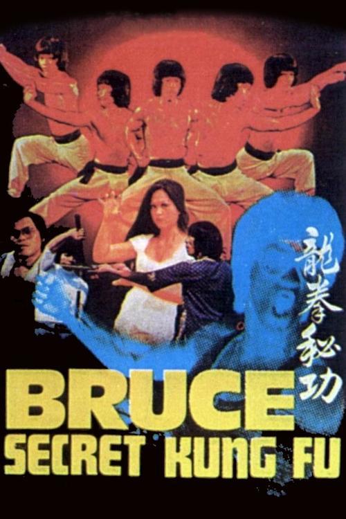 Bruce's Secret Kung Fu film afişi