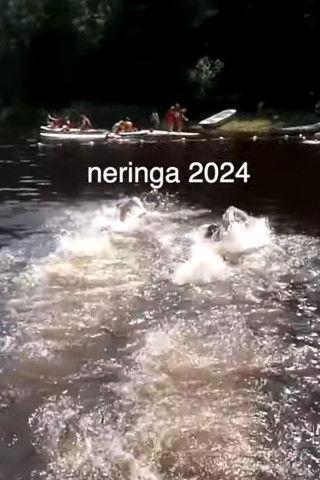 our last year at sleepaway camp film afişi