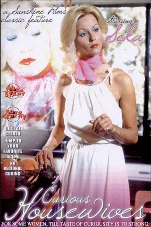 Curious Housewives film afişi