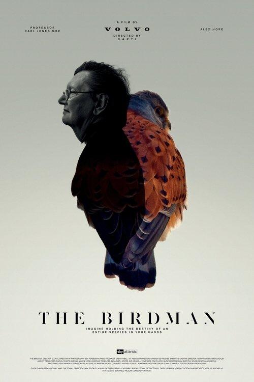 The Birdman film afişi