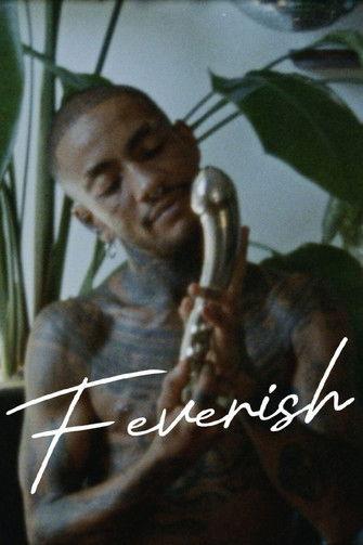 Feverish film afişi