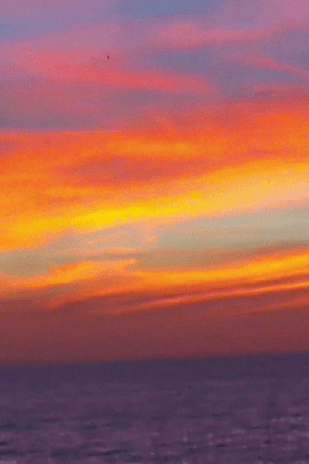 My Lake Erie Movie film afişi