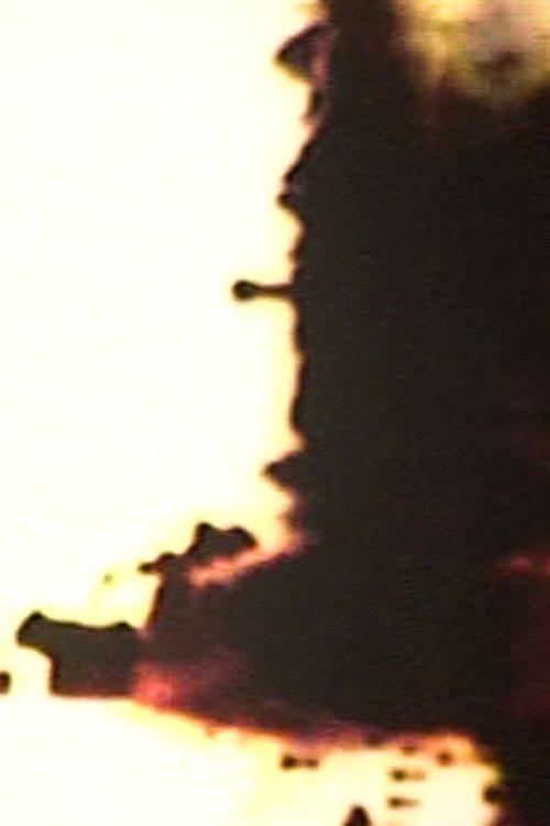 Pornogriffith film afişi