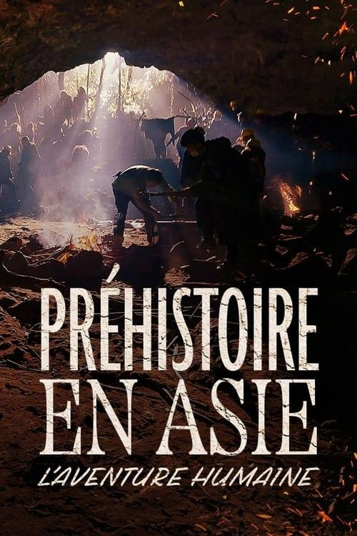 Préhistoire en Asie : L'Aventure humaine film afişi