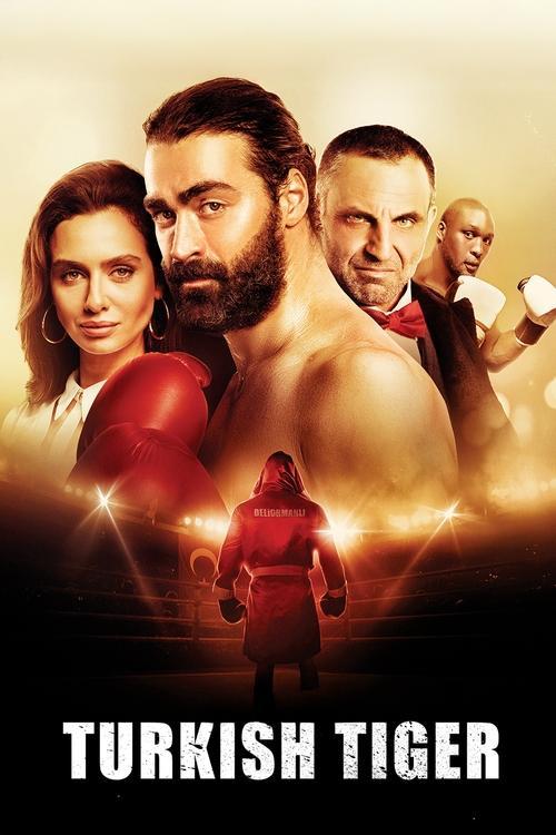 Turkish Tiger film afişi