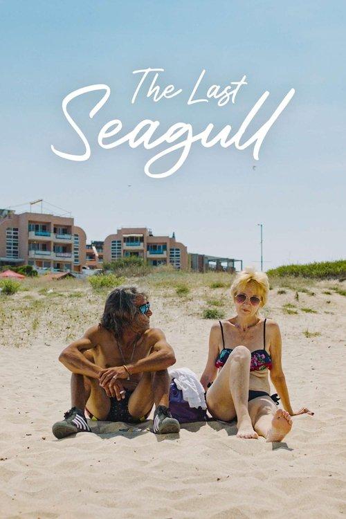 The Last Seagull film afişi