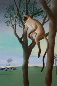 De l'autre côté Sezon 1