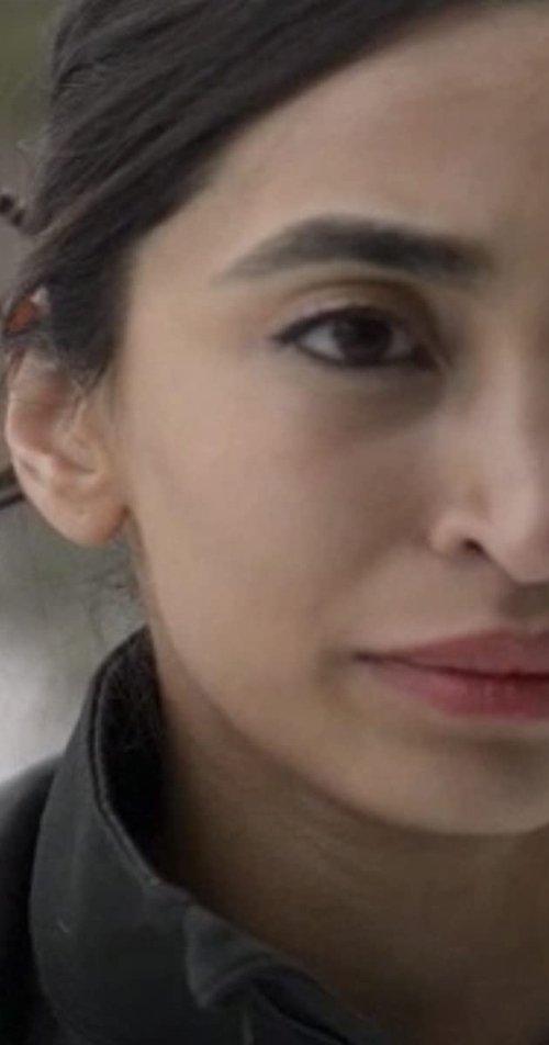 Ascension film afişi