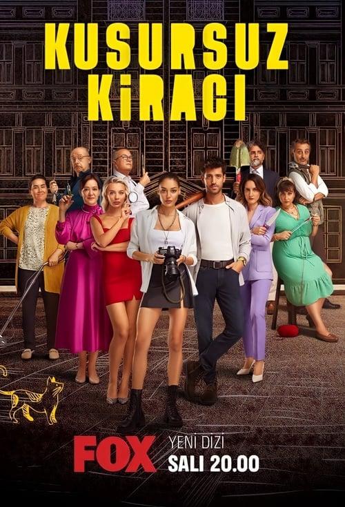 Perfect Tenant dizi afişi