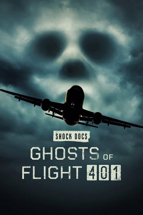 Ghosts of Flight 401 film afişi