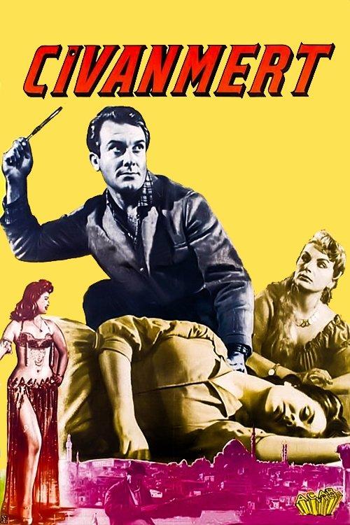 Civanmert film afişi