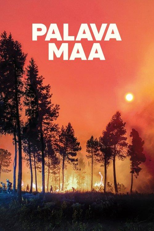 Palava maa film afişi