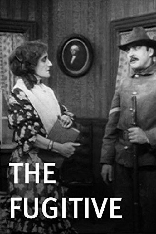 The Fugitive film afişi