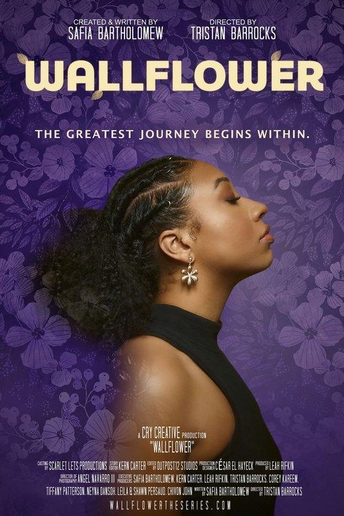 Wallflower film afişi