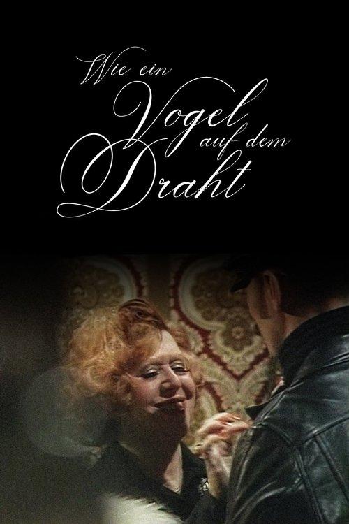 Like a Bird on a Wire film afişi