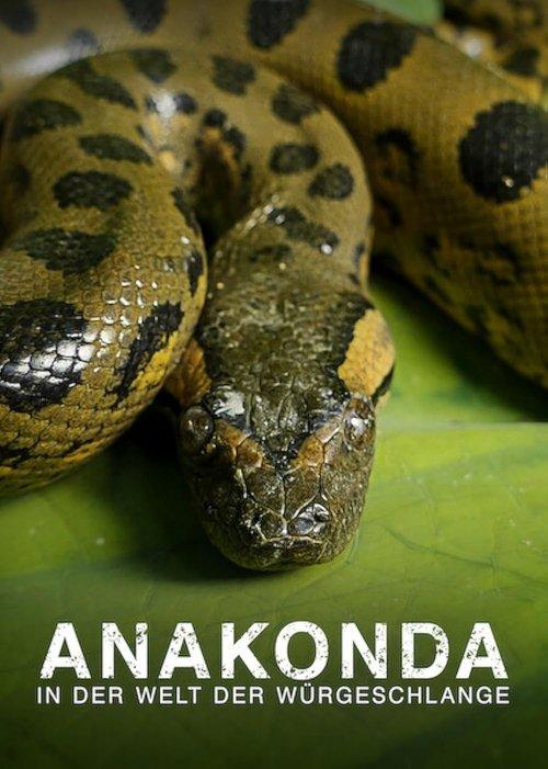 Anaconda: Silent Killer film afişi