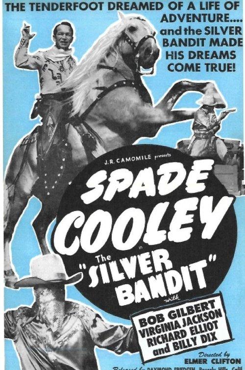 The Silver Bandit film afişi