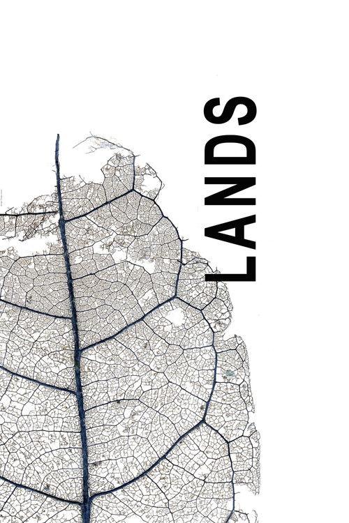 Lands film afişi