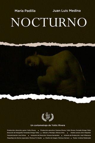 Nocturne film afişi