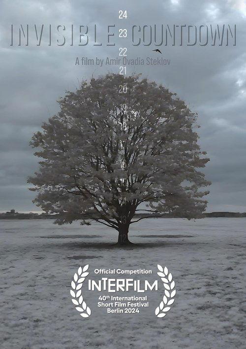 Invisible Countdown film afişi