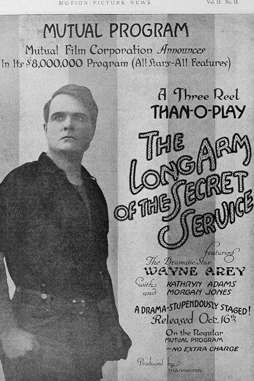 The Long Arm of the Secret Service film afişi
