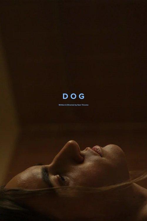 Dog film afişi