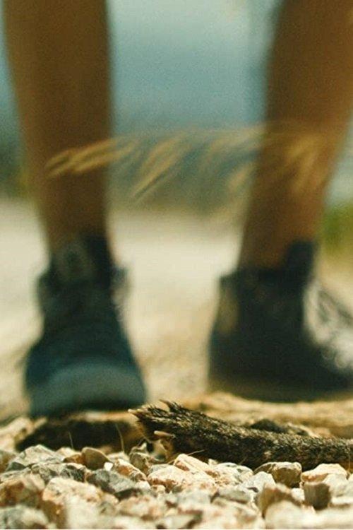 John & Jenny film afişi