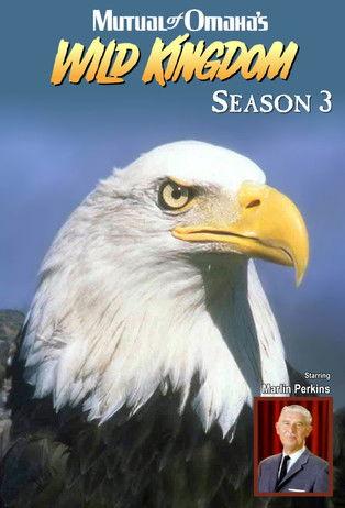 Mutual of Omaha's Wild Kingdom Sezon 3